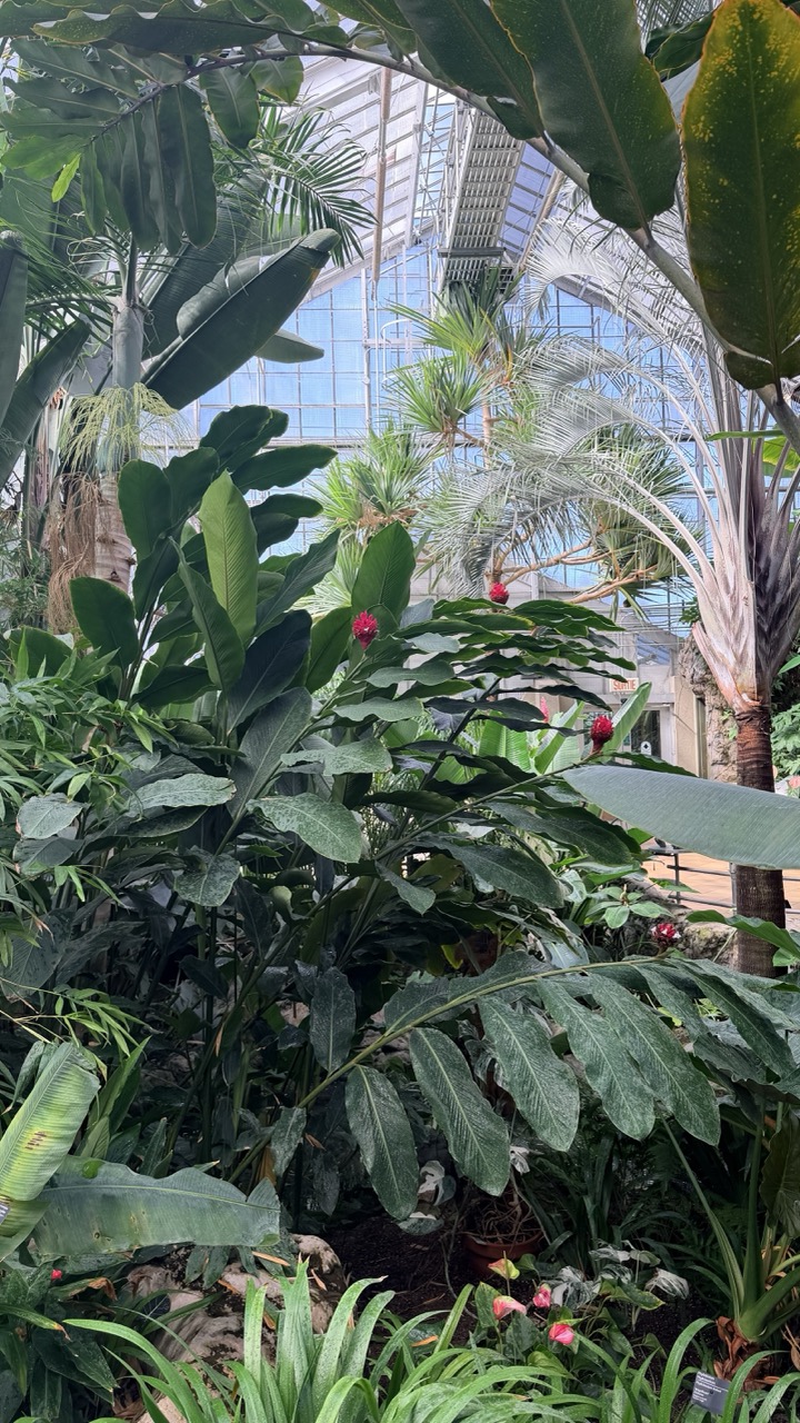 Jardin botanique Montreal 14
