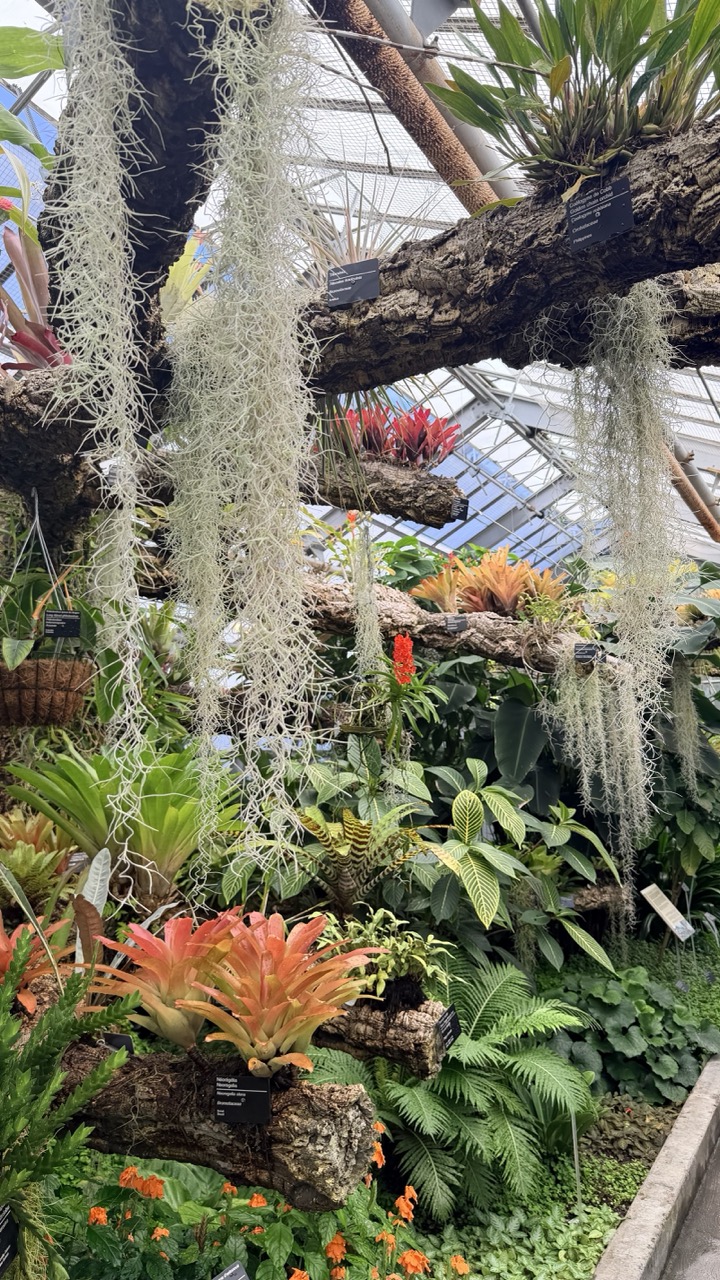 Jardin botanique Montreal 16