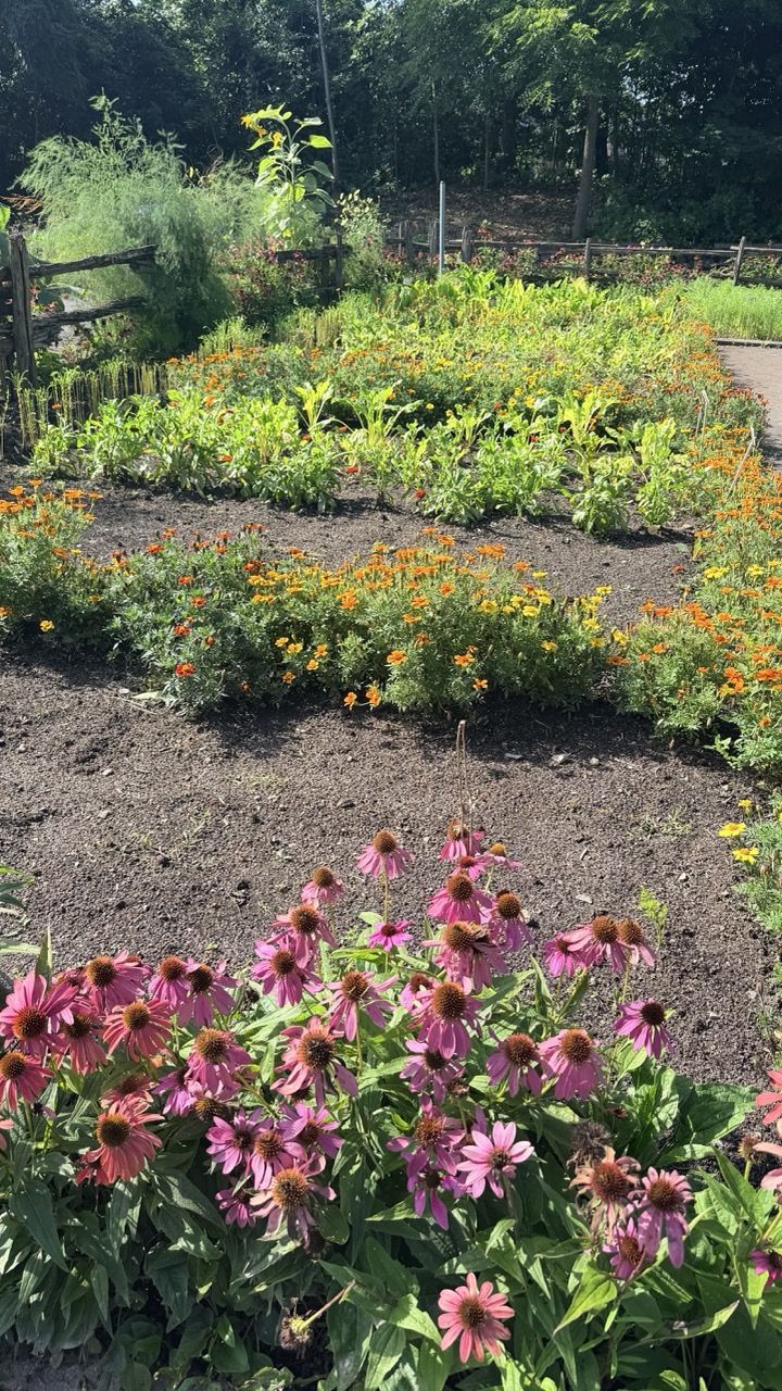 Jardin botanique Montreal 19
