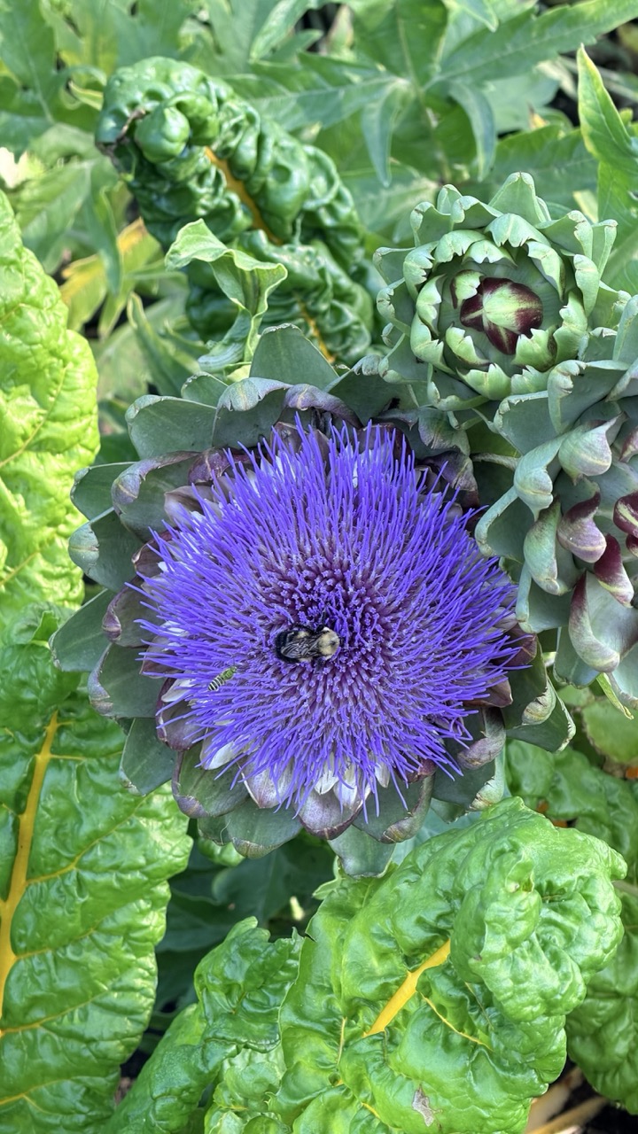 Jardin botanique Montreal 20