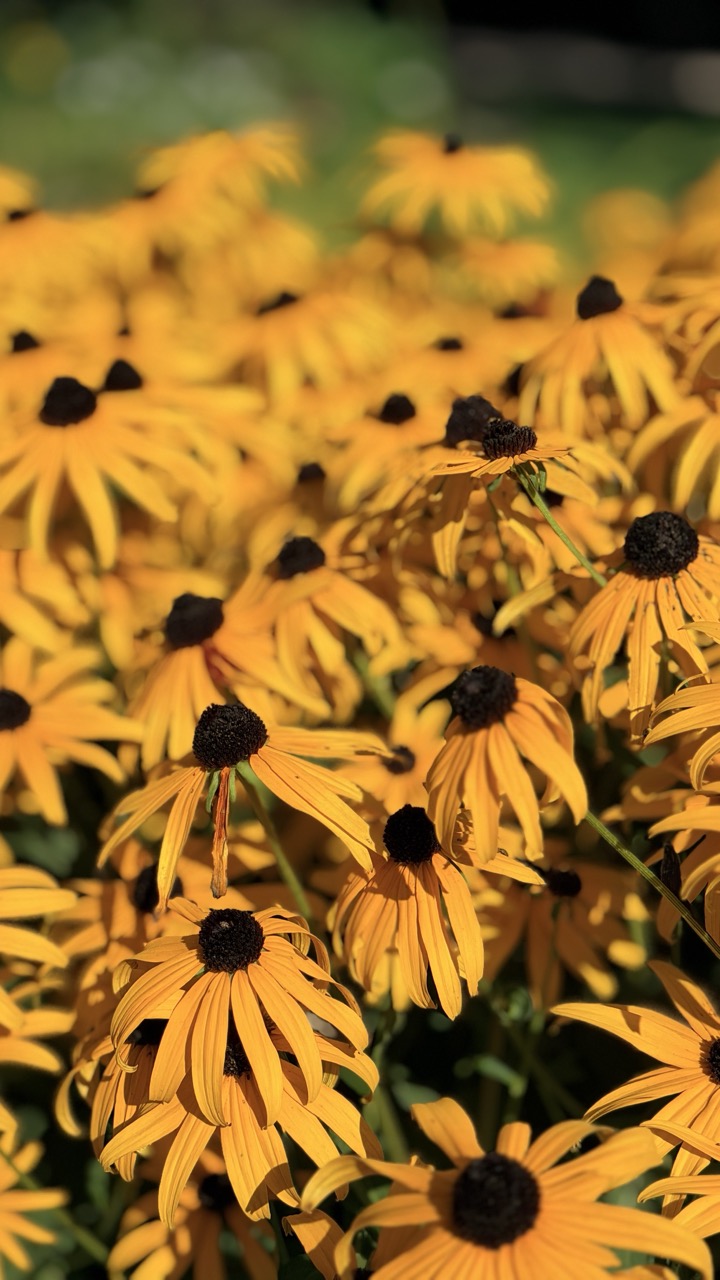 Jardin botanique Montreal 23