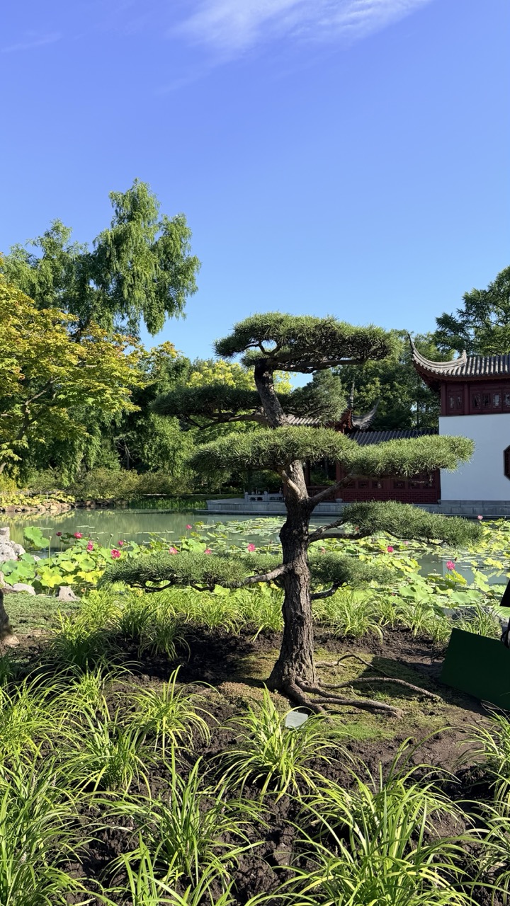 Jardin botanique Montreal 34