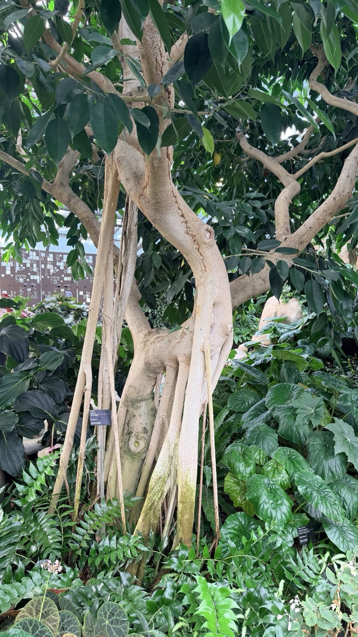 Jardin botanique Montreal 5
