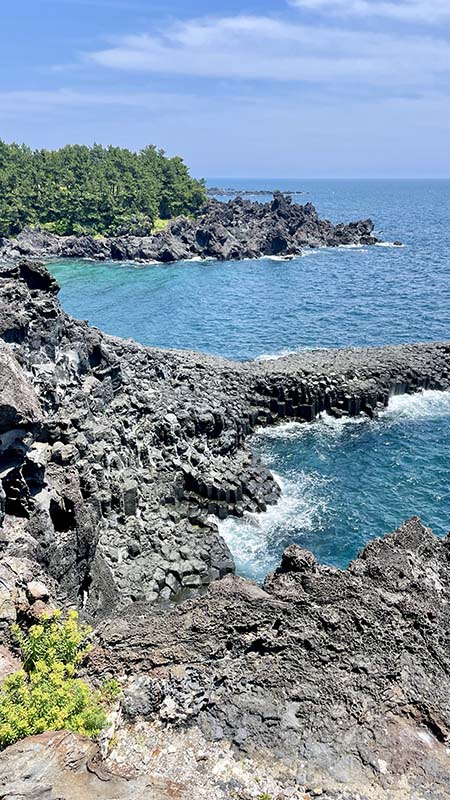 Jusangjeollidae jeju 2