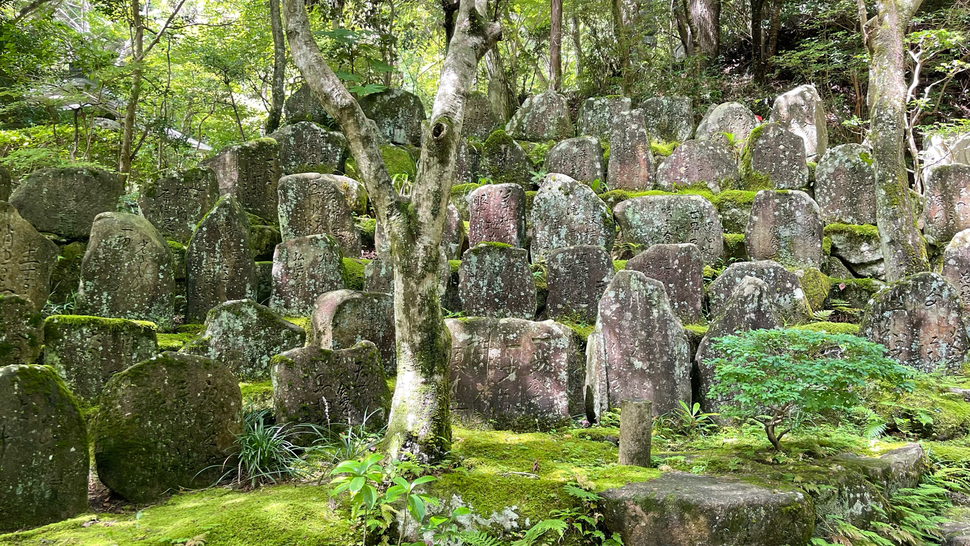 Mitaki dera hiroshima 11