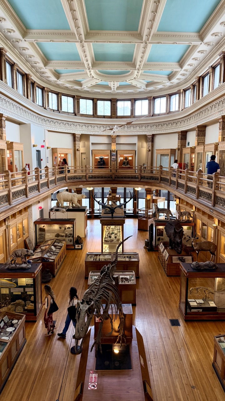 Musée Redpath Montréal 18