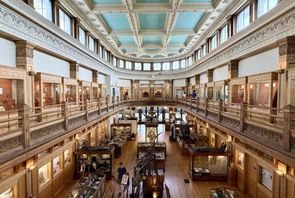 Musée Redpath Montréal 19