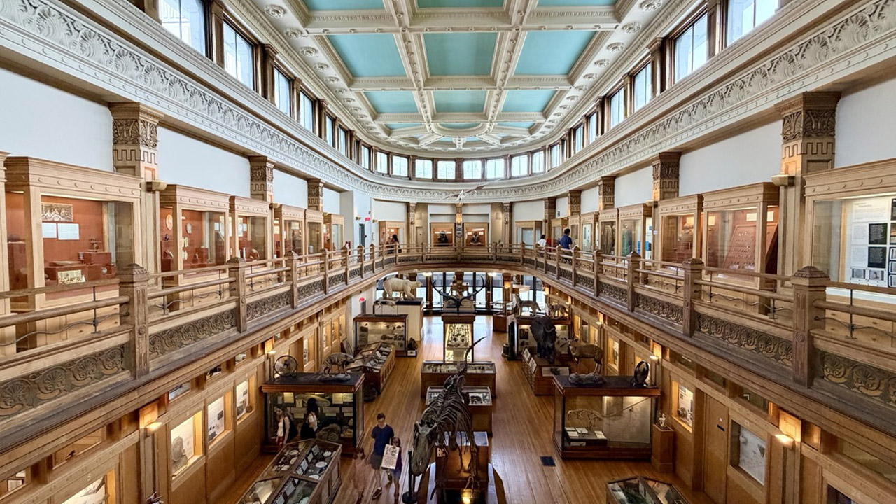 Musée Redpath Montréal 19