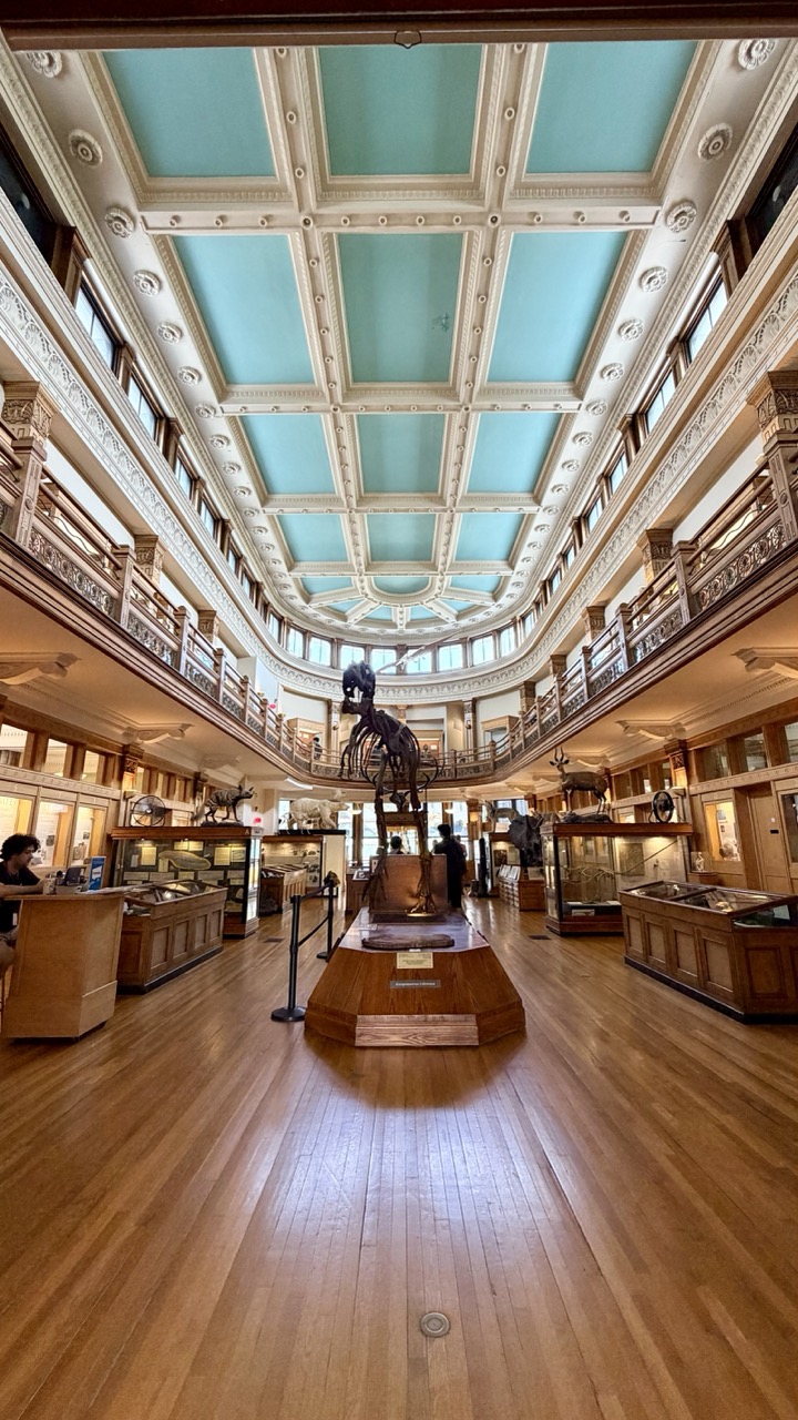 Musée Redpath Montréal 30
