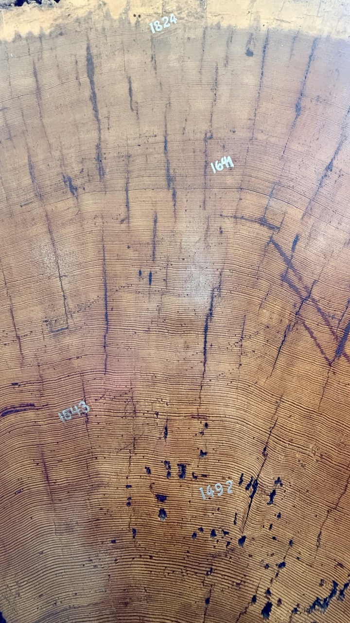 Musée Redpath Montréal 42