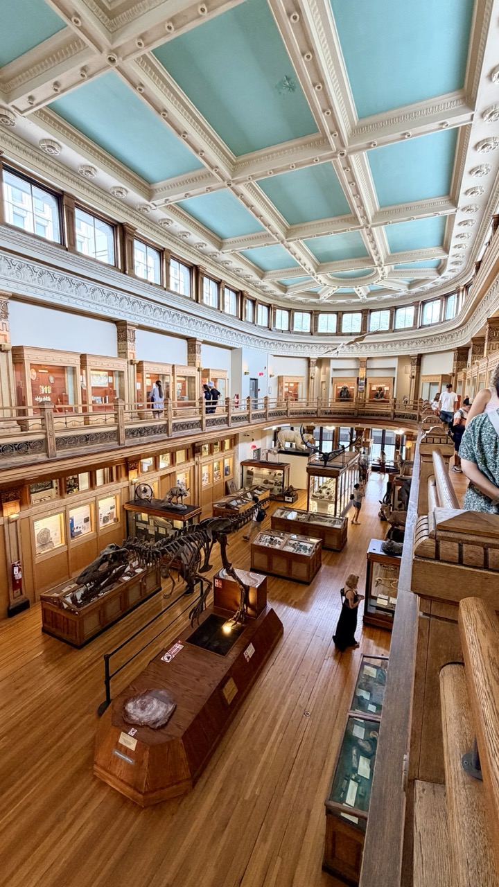 Musée Redpath Montréal 8