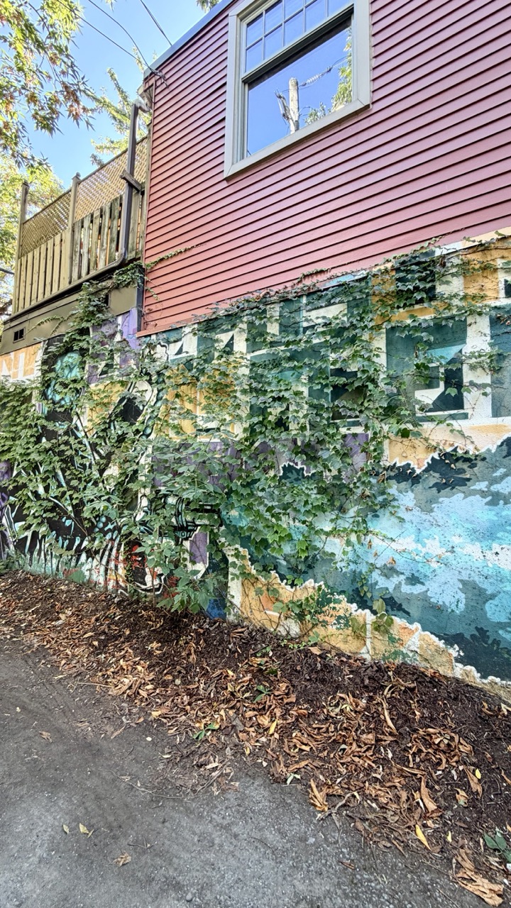 Rulles montreal gini in the jungle 13