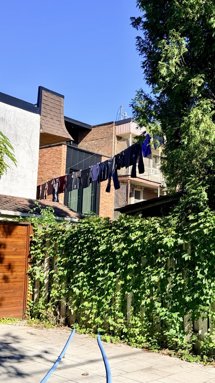 Rulles montreal gini in the jungle 29