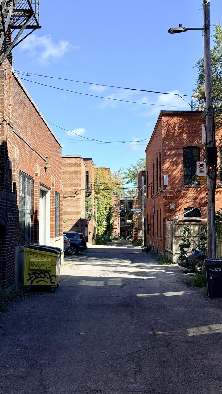 Rulles montreal gini in the jungle 3