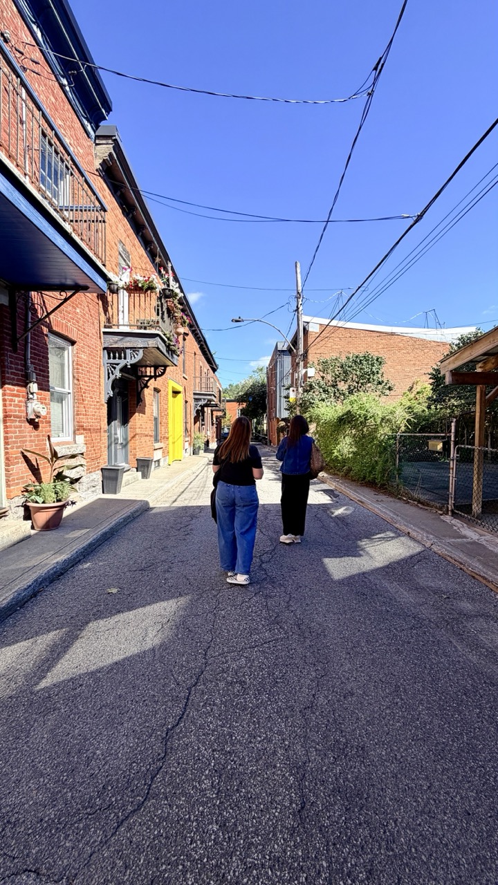 Rulles montreal gini in the jungle 6