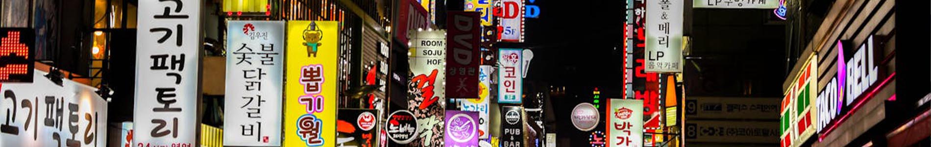 South korea categorie gini in the jungle