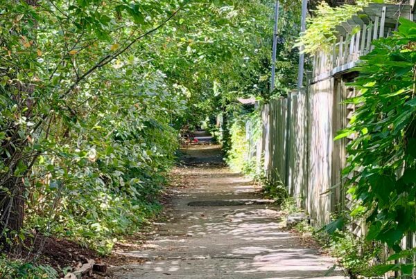 cover ruelle montreal