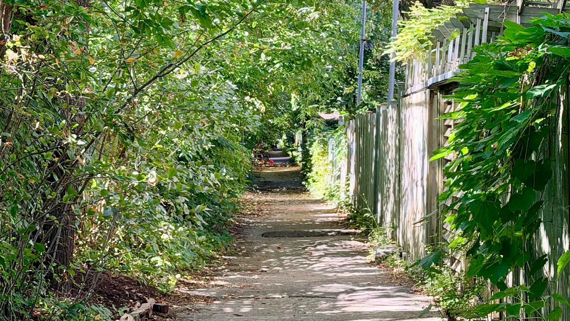 cover ruelle montreal