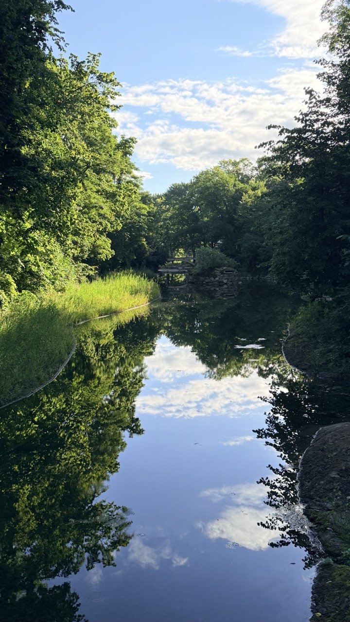 ile saint helene montreal 8