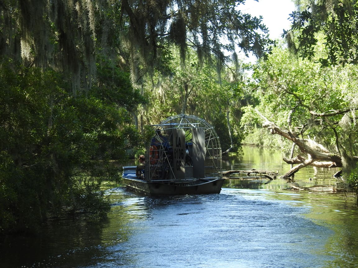 nola bayou gini in the jungle 3