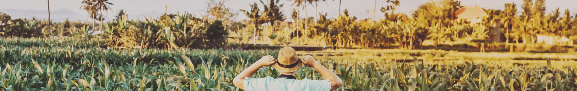 voyage categorie gini in the jungle